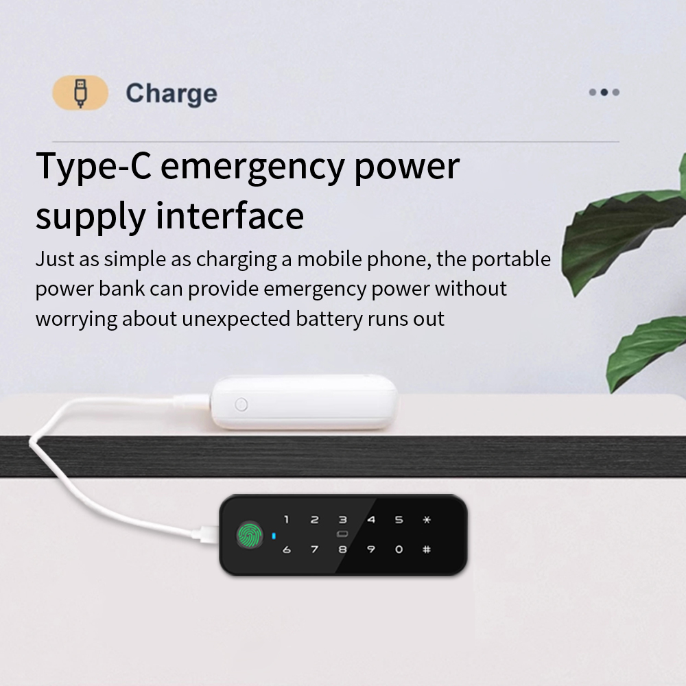 Tuya-armario de madera intelig - Smart Home Key reseña y precio